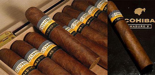 Cohiba Maduro 5